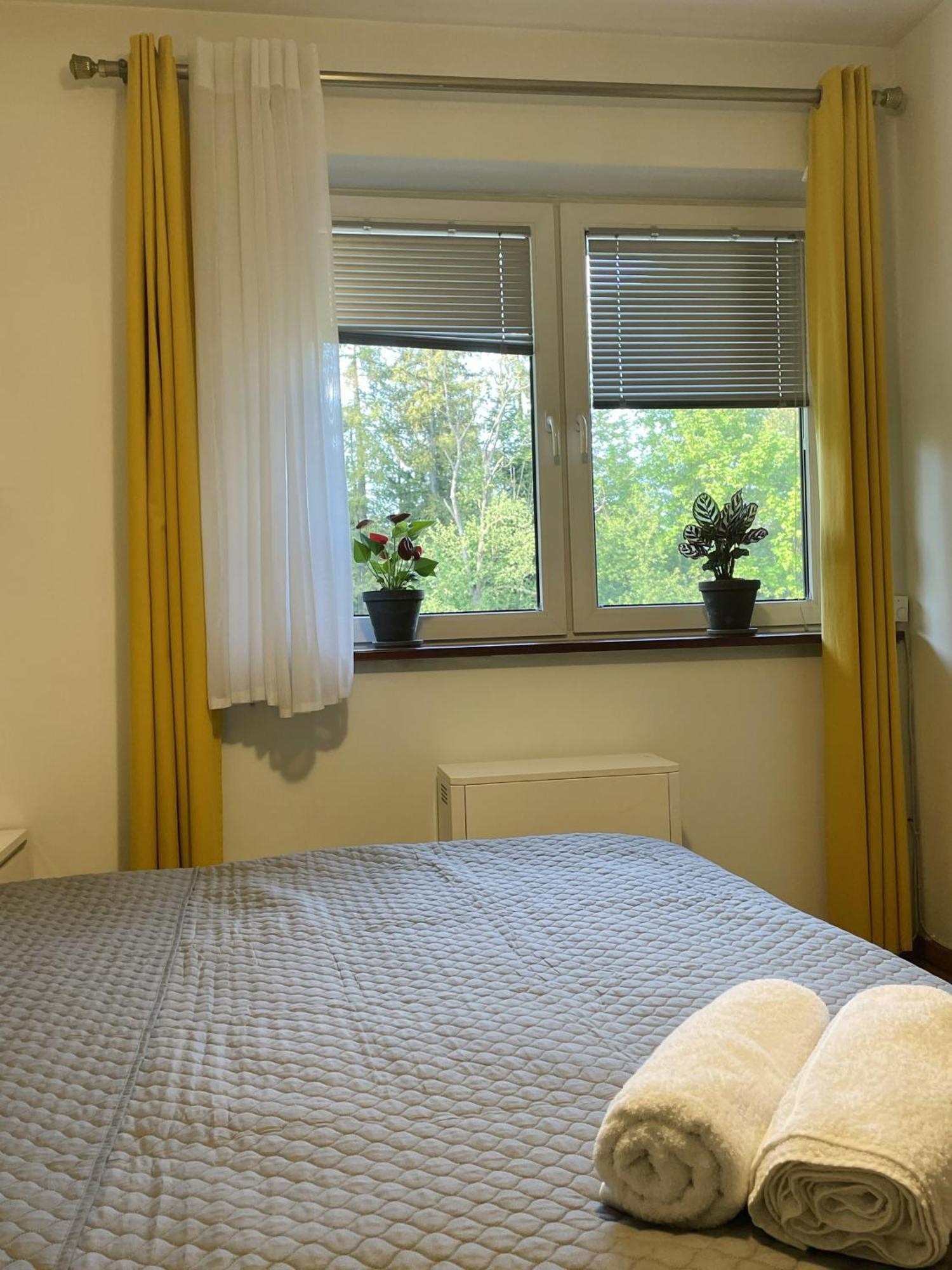 Апартаменти Apartament Idylla Закопане Екстер'єр фото